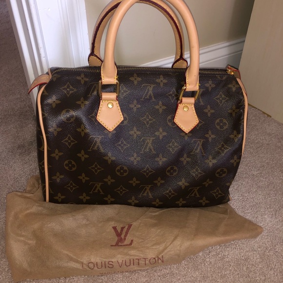 Handbags - Louis Vuitton purse